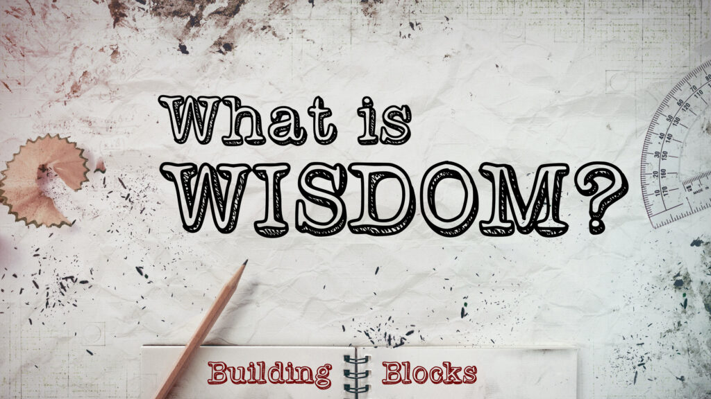 building-blocks-what-is-wisdom-in-god-s-image