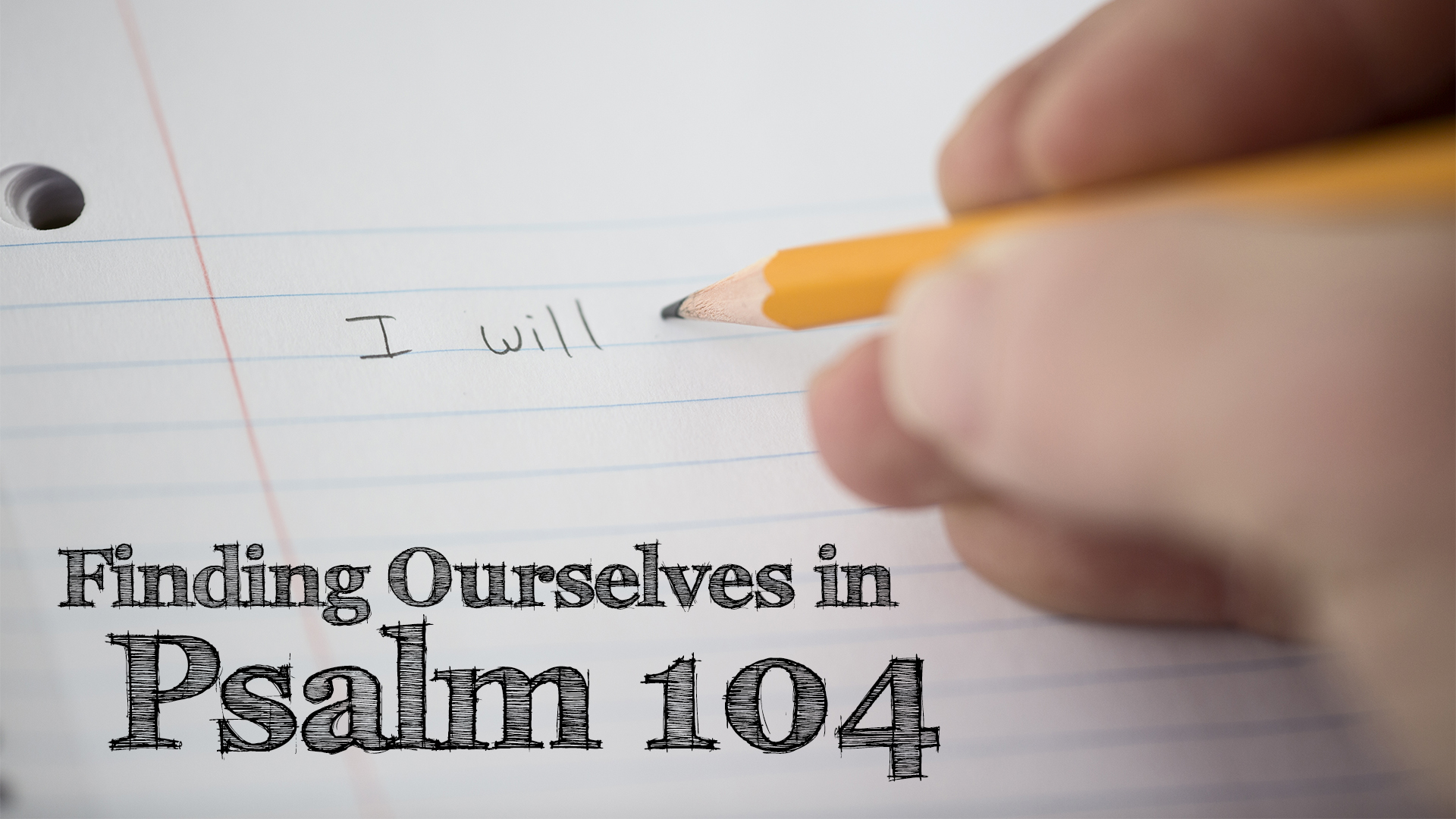 Finding Ourselves In Psalm 104 – In God's Image