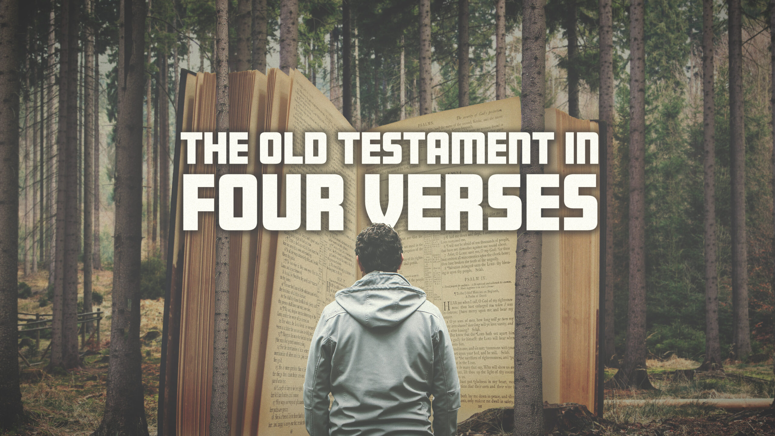 the-old-testament-in-four-verses-in-god-s-image