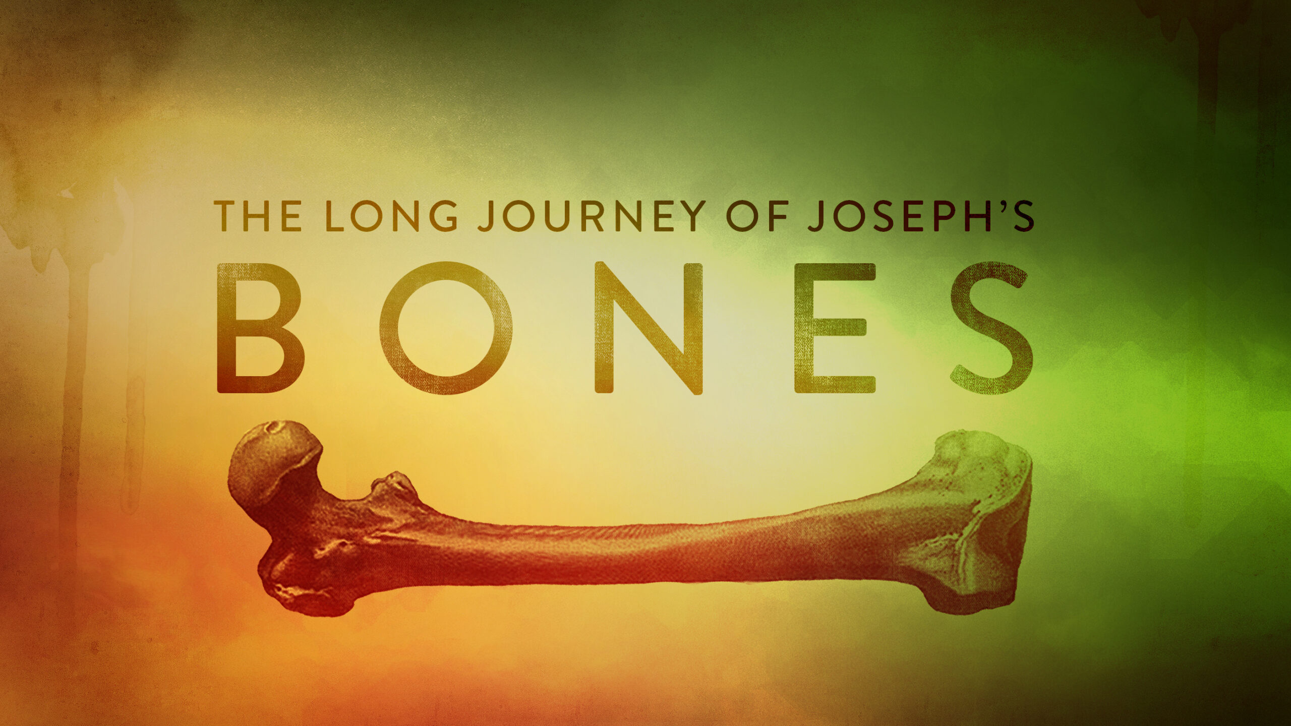 The Long Journey of Joseph’s Bones – In God's Image